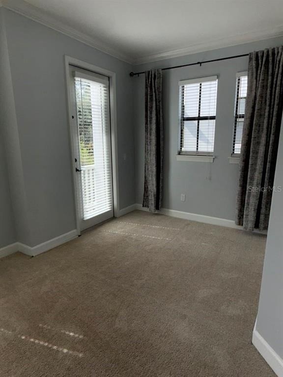 113 S Packwood Avenue - Photo 16