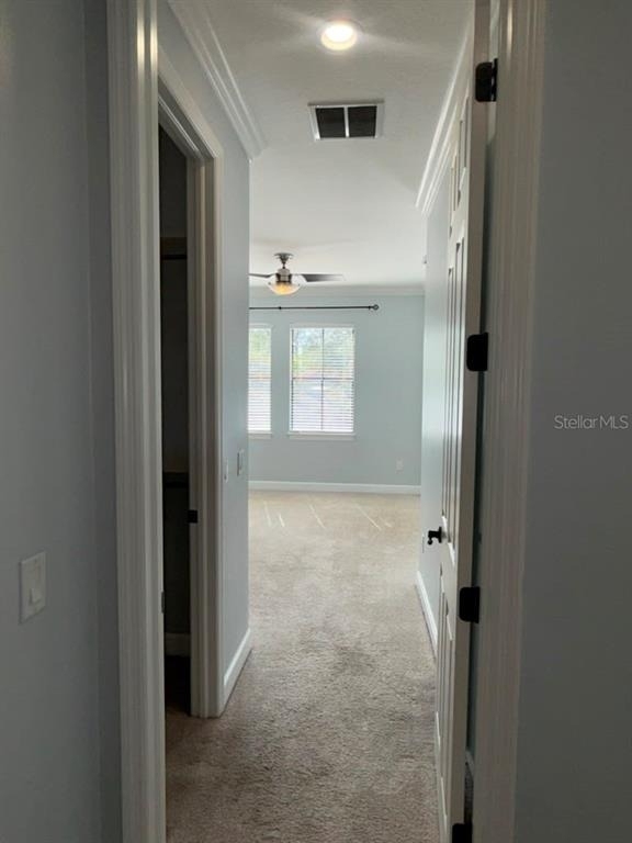 113 S Packwood Avenue - Photo 14