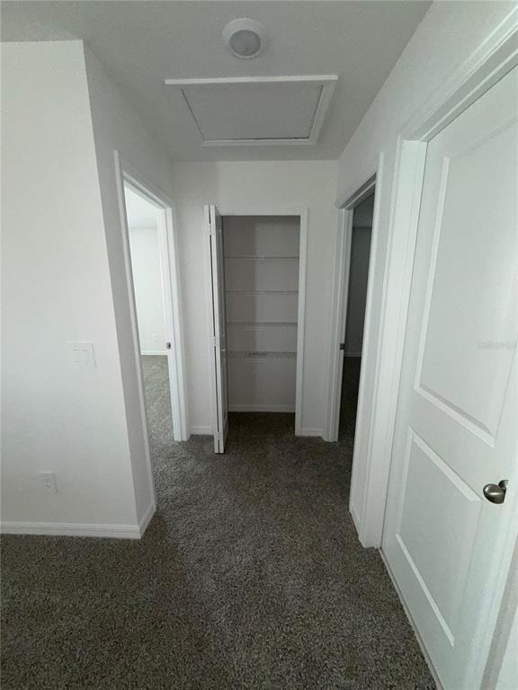 5501 Clove Row - Photo 21