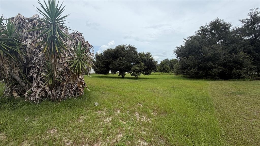 11719 Oswalt Road - Photo 22