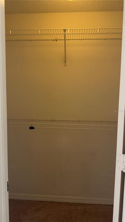 11719 Oswalt Road - Photo 14