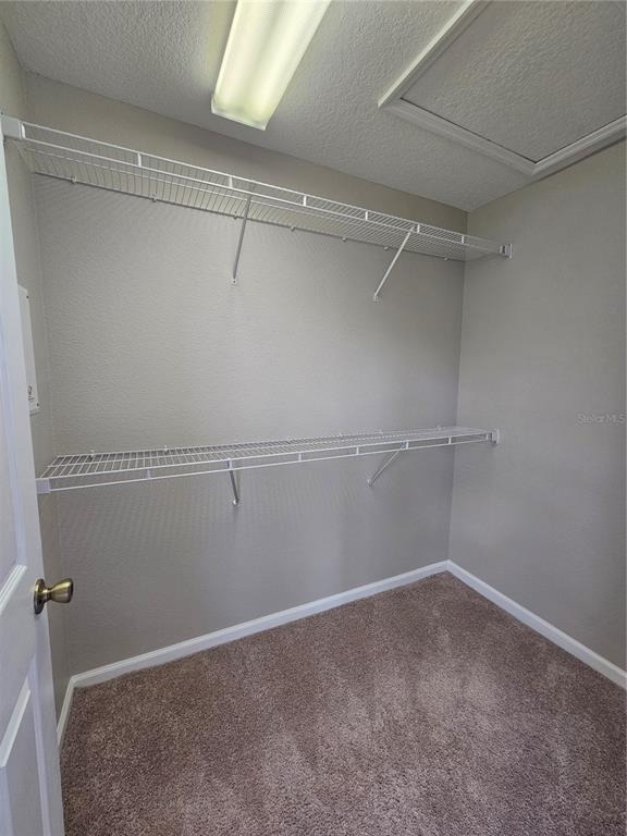 2605 Galliano Circle - Photo 8