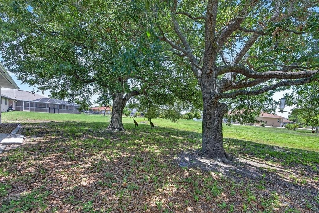 7510 Ligustrum - Photo 20