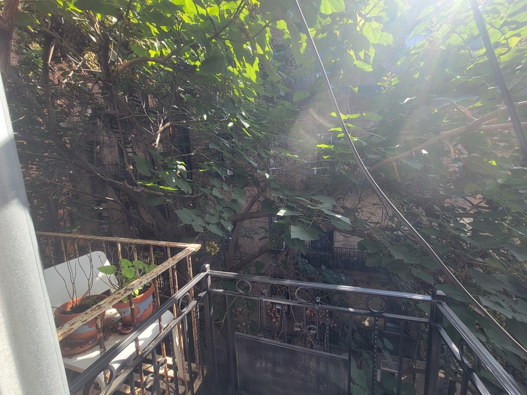 436 West 52nd Street - Photo 8