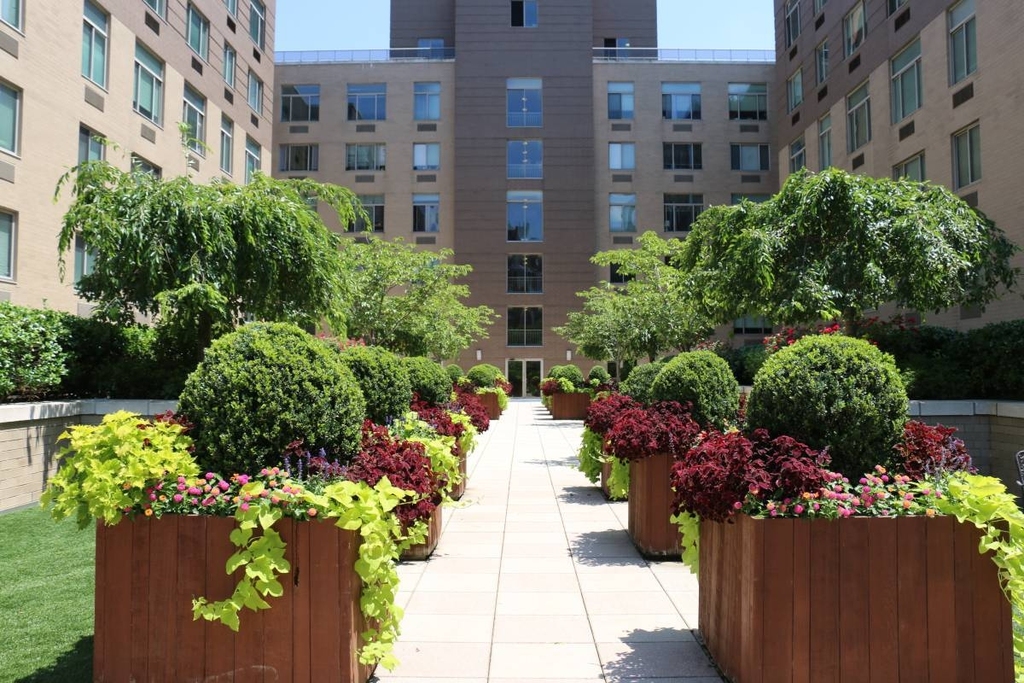 1st Avenue - Photo 7