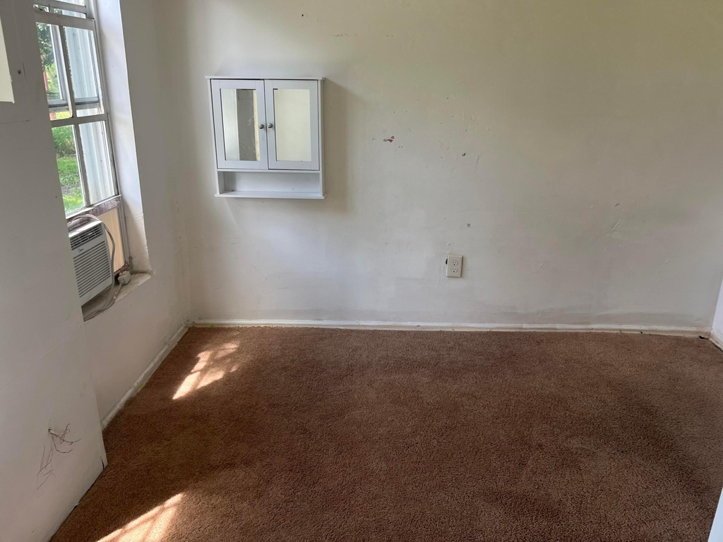 421 N 10th Street - Photo 1
