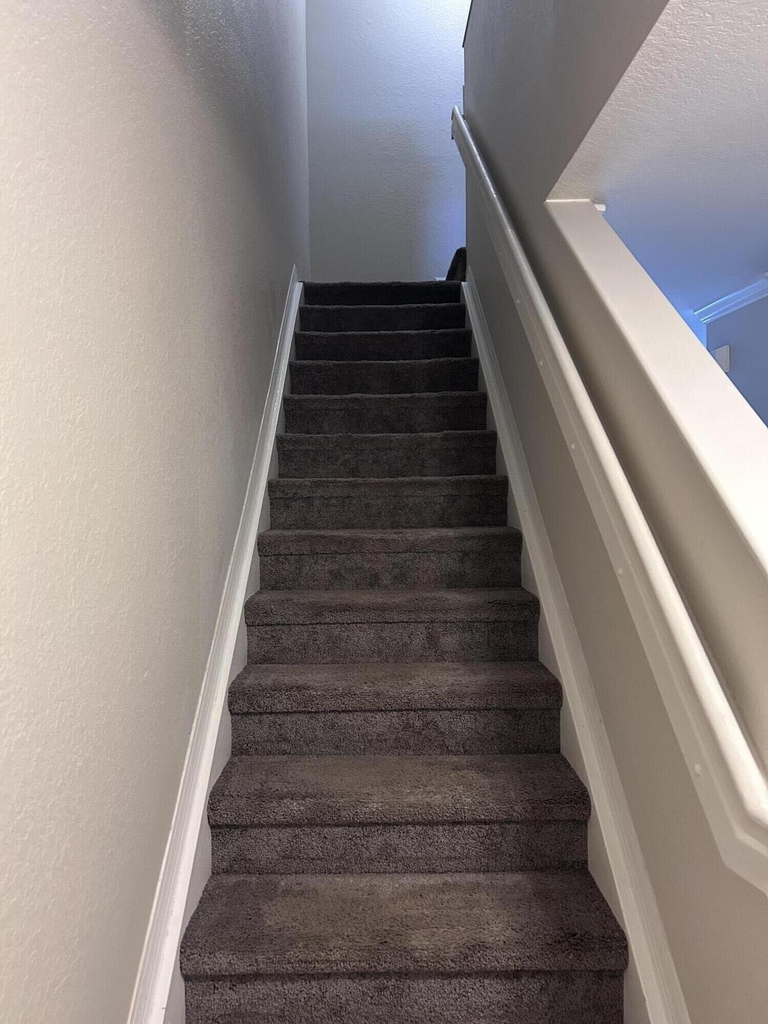 9115 Chambers Street - Photo 10