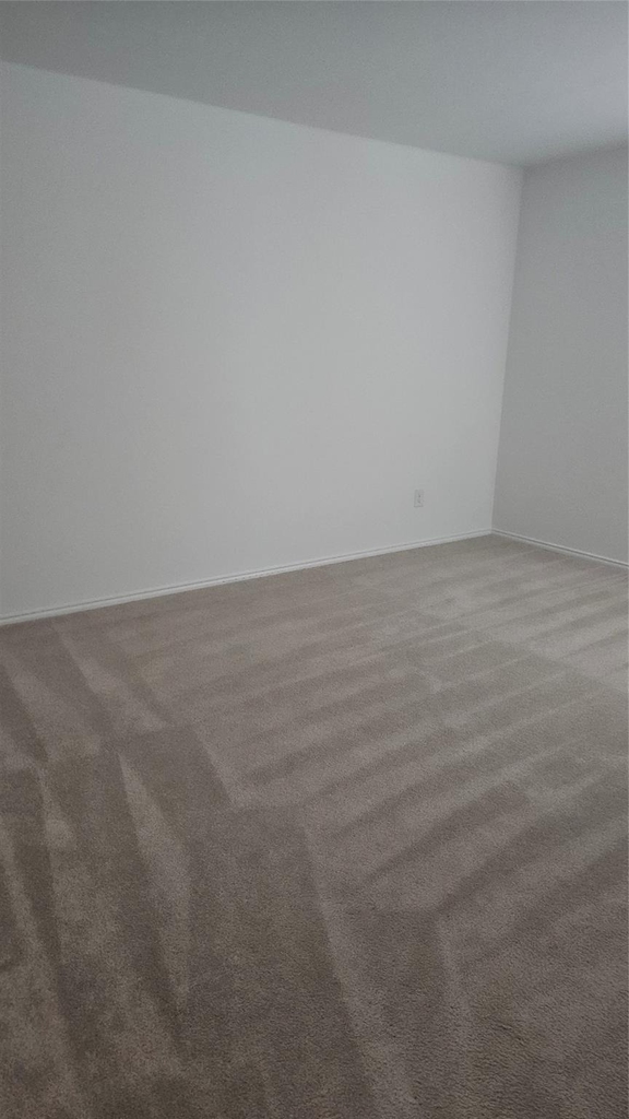 4178 Silverstein Street - Photo 5