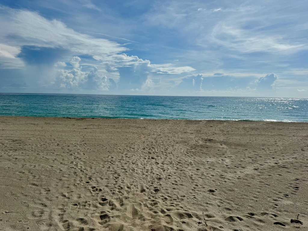 2355 Ne Ocean Blvd Boulevard - Photo 38
