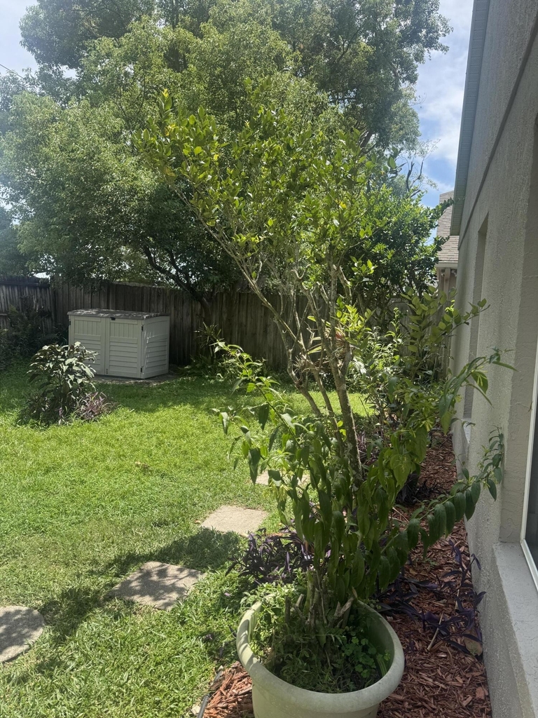 12804 Maribou Circle - Photo 8