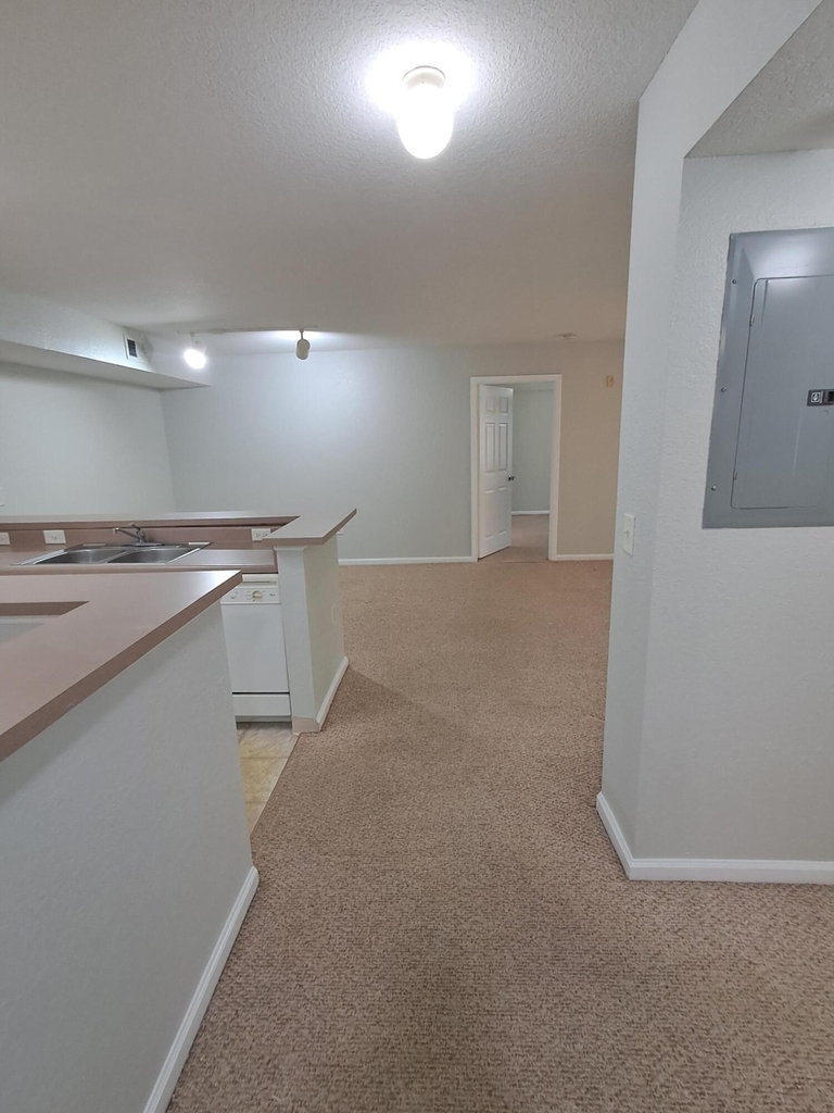 161 Sw Palm Drive - Photo 3