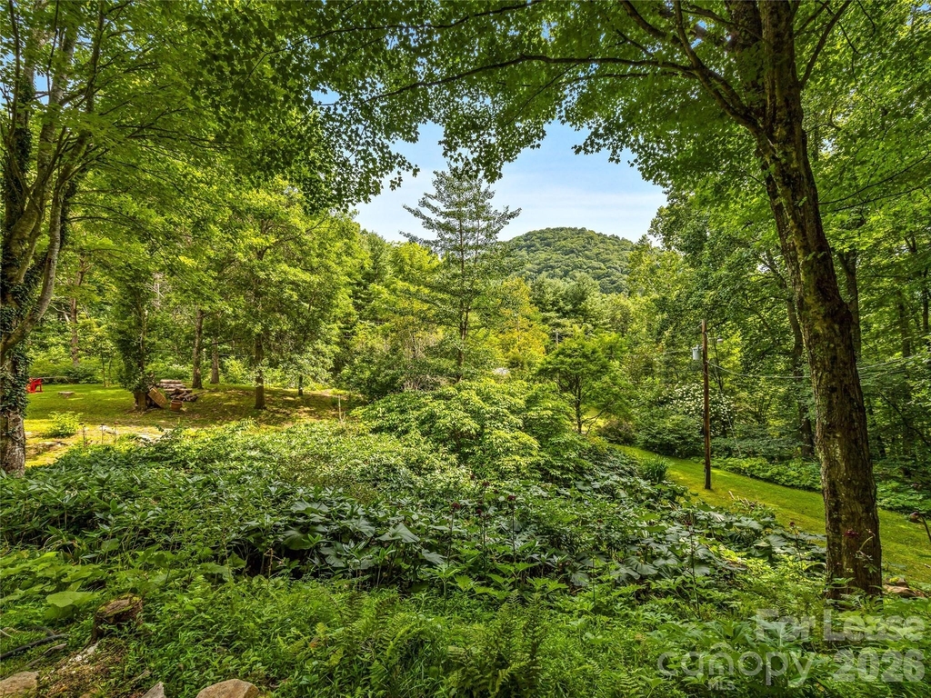 81 Summer Trees Lane - Photo 9