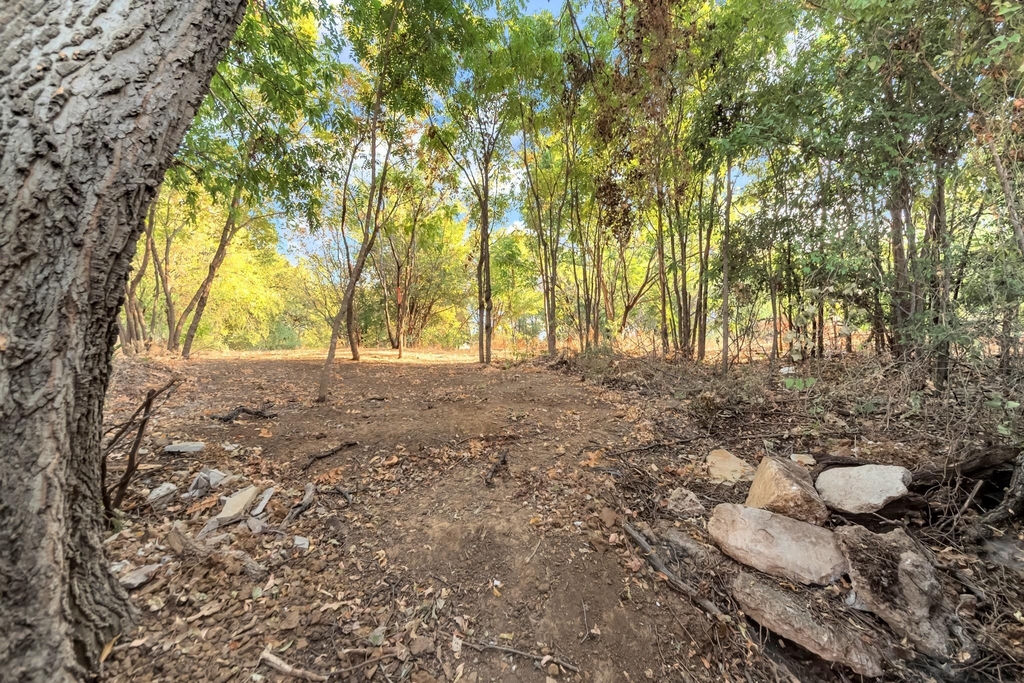 913 Rosemary Drive - Photo 26