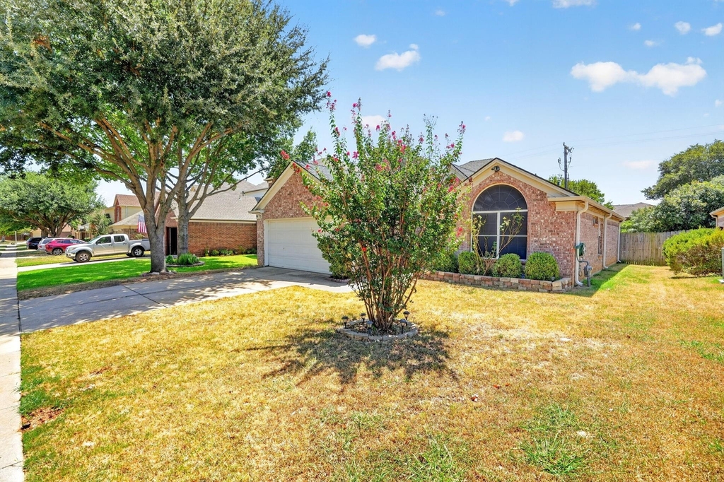 306 Branch Bend - Photo 19