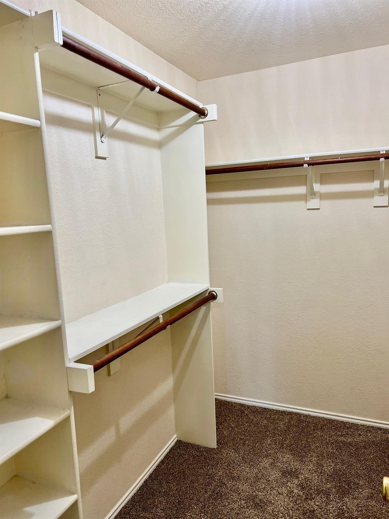 11617 Bobcat Drive - Photo 6