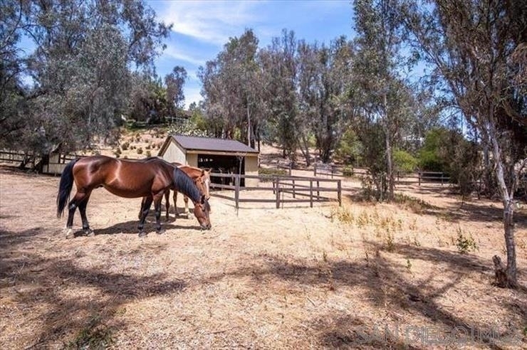 4905 El Arco Iris - Photo 7