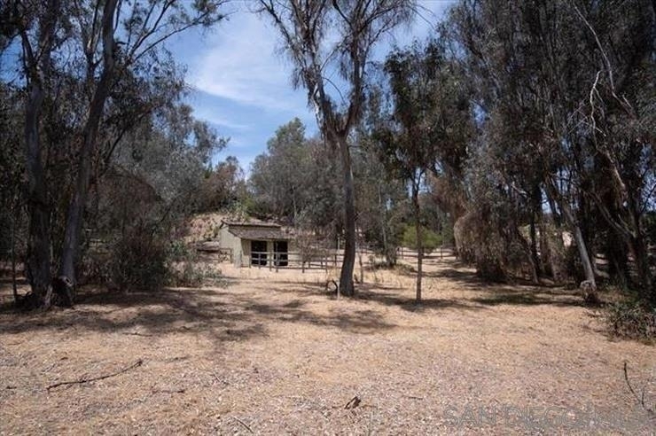 4905 El Arco Iris - Photo 11