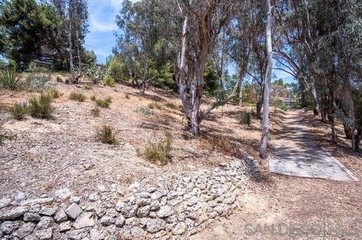 4905 El Arco Iris - Photo 21