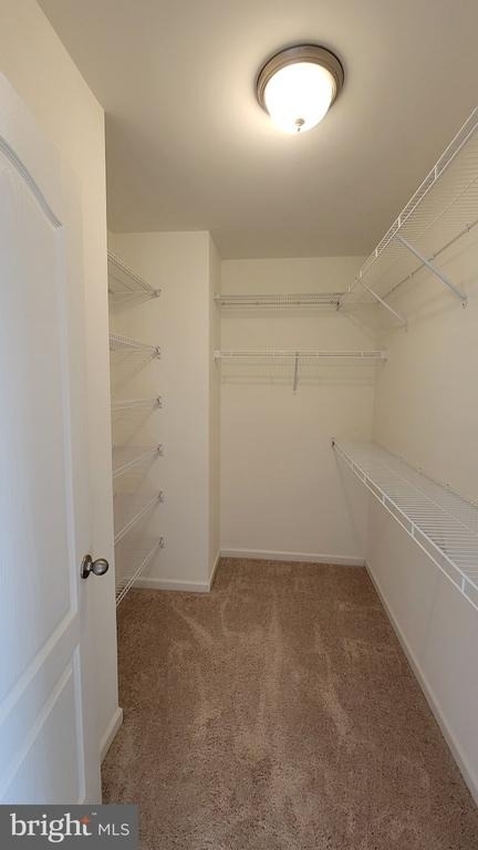 39 Stafford Place - Photo 23