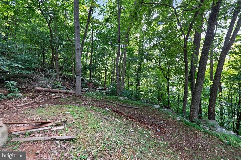 261 Rocky Spring Lane - Photo 4