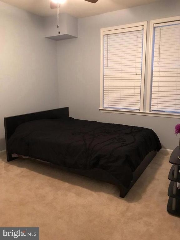 42272 San Juan Terrace - Photo 3