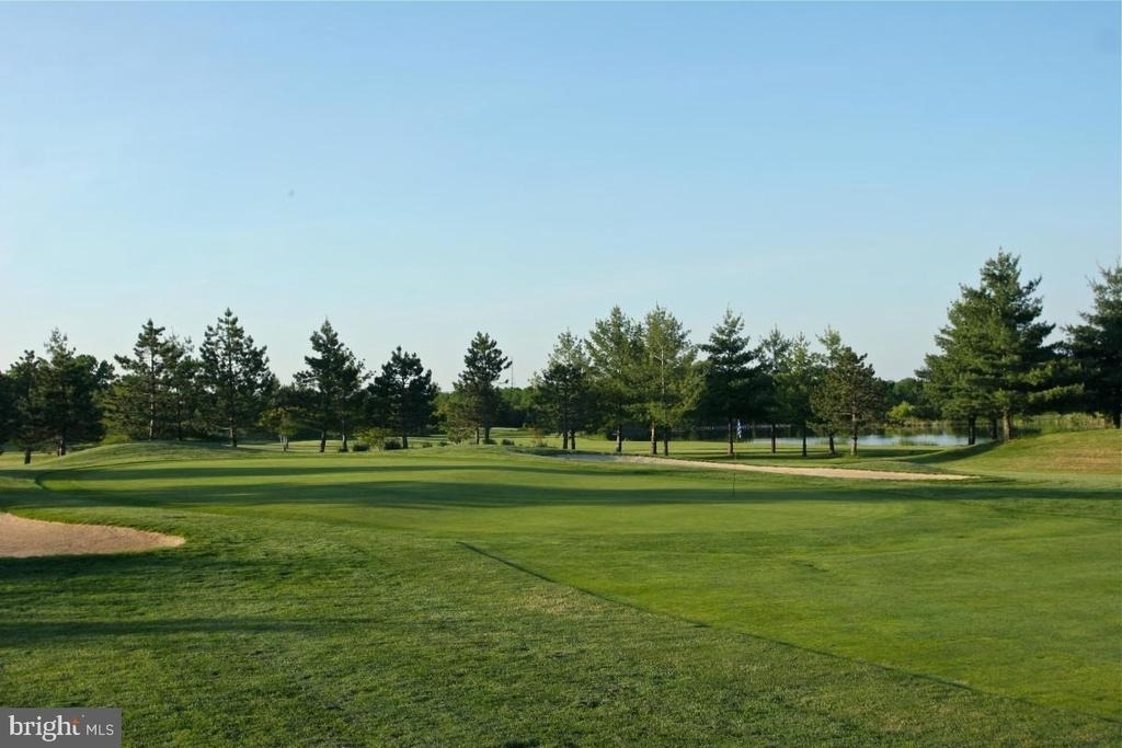 22799 Tawny Pine - Photo 52