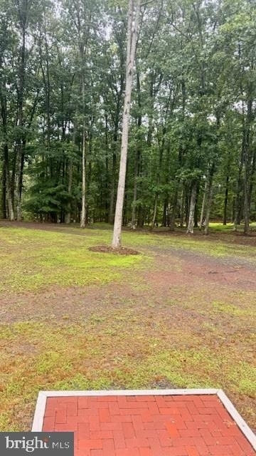 220 Retreat Lane - Photo 37