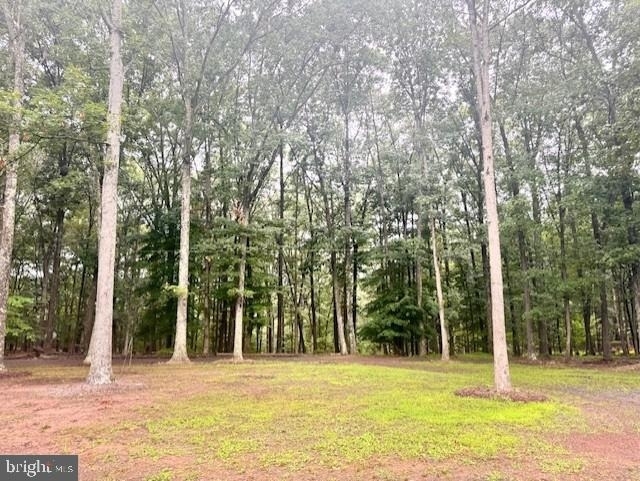 220 Retreat Lane - Photo 32