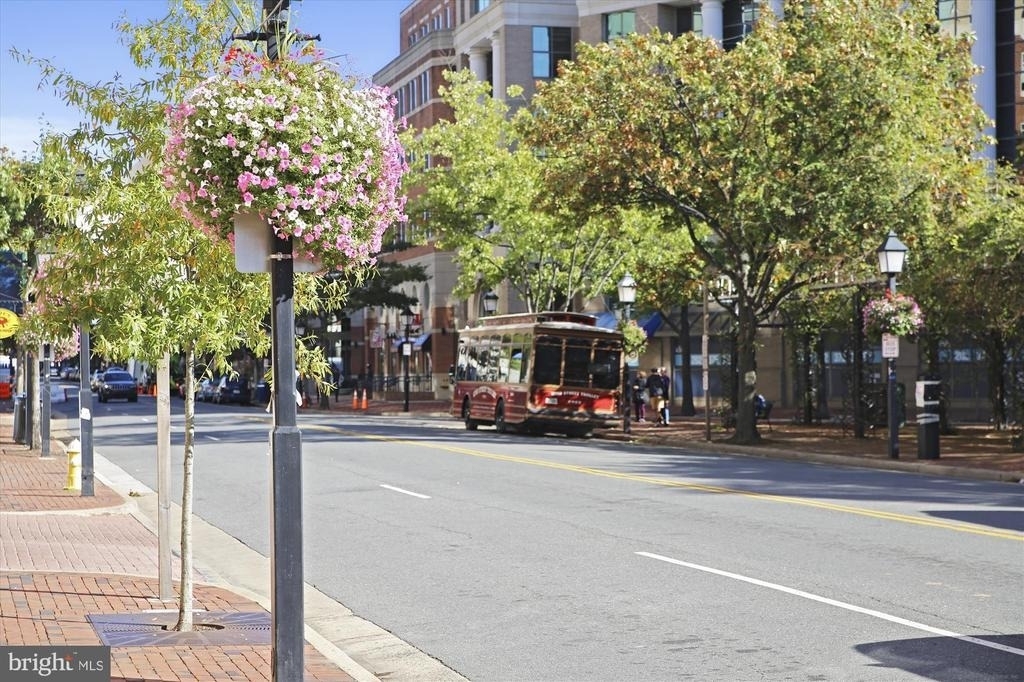 1227 Queen Street - Photo 45