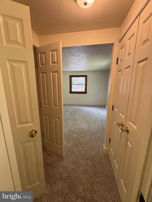 186 Shenks Ferry Road - Photo 18