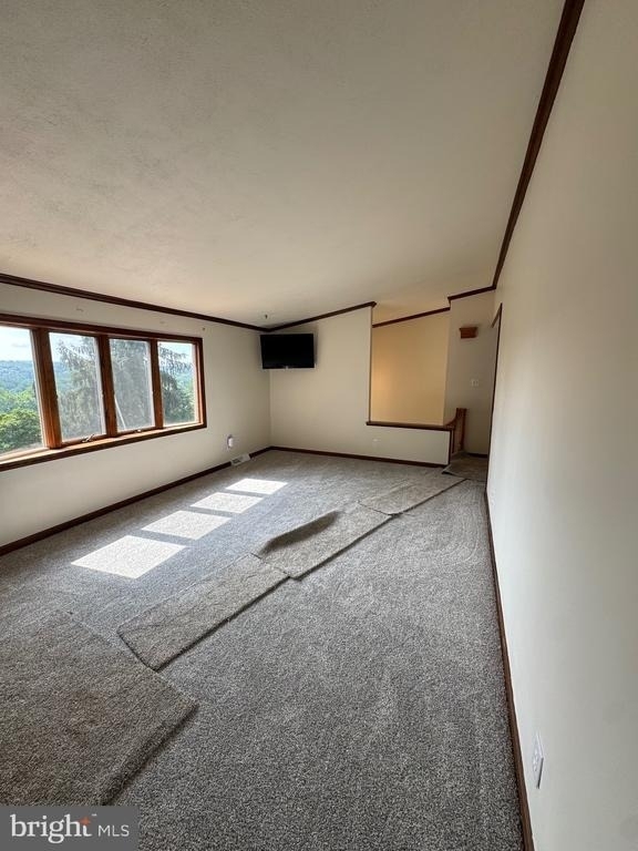 186 Shenks Ferry Road - Photo 10