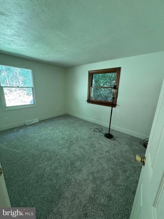 186 Shenks Ferry Road - Photo 11