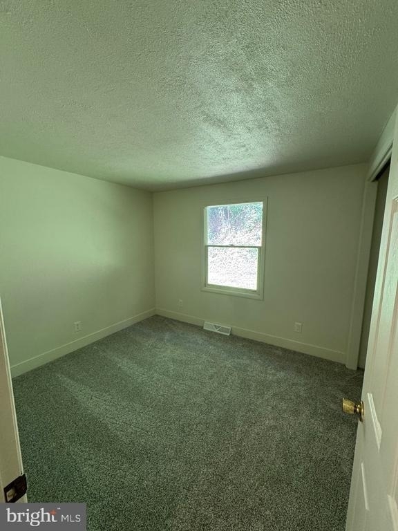 186 Shenks Ferry Road - Photo 12