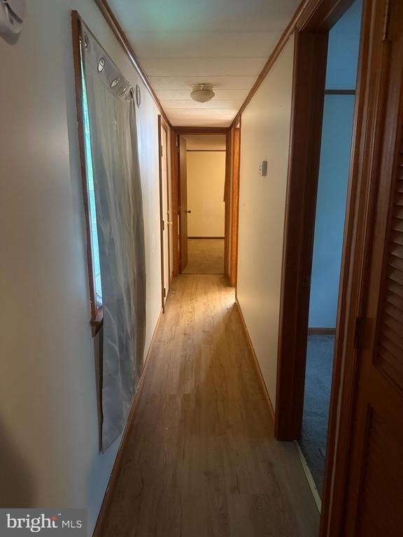 1704 Spring Garden Road - Photo 2