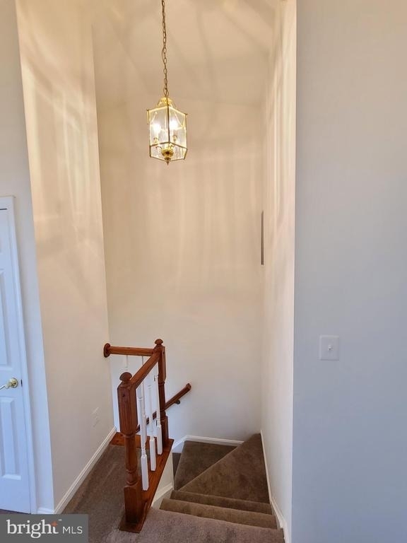 8662 Fountain Valley - Photo 10