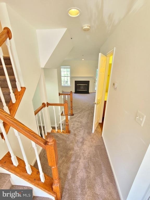 8662 Fountain Valley - Photo 9