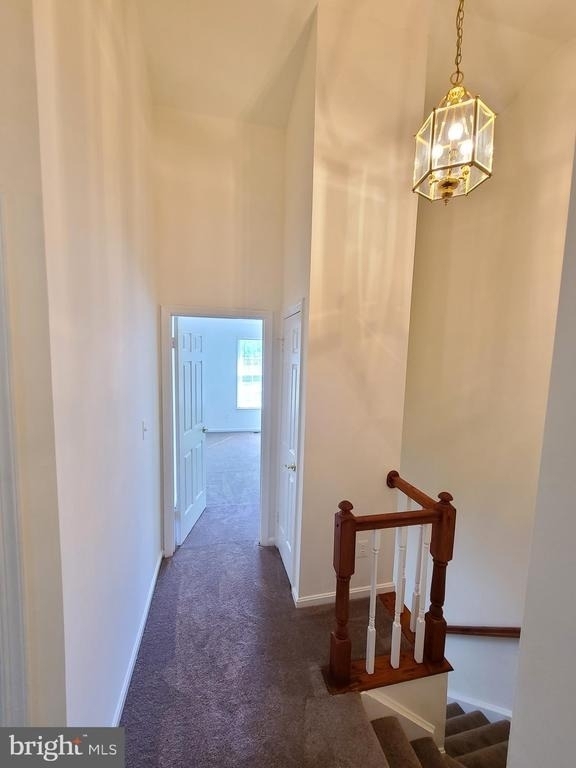 8662 Fountain Valley - Photo 11