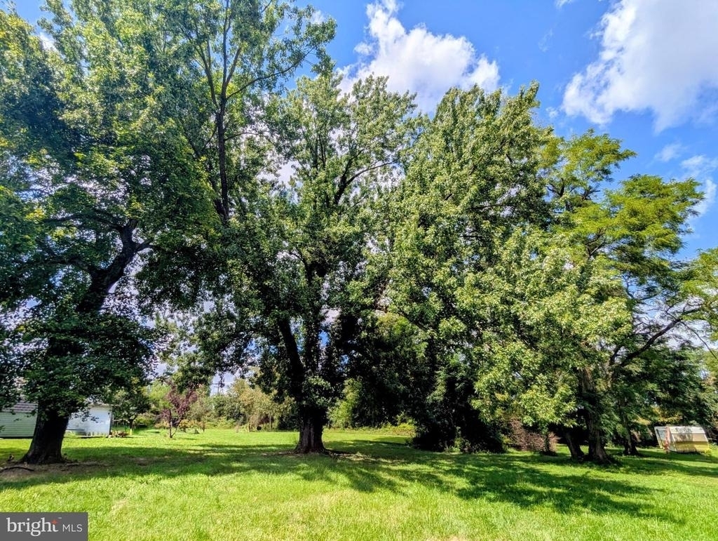 2225 Williams Drive - Photo 27
