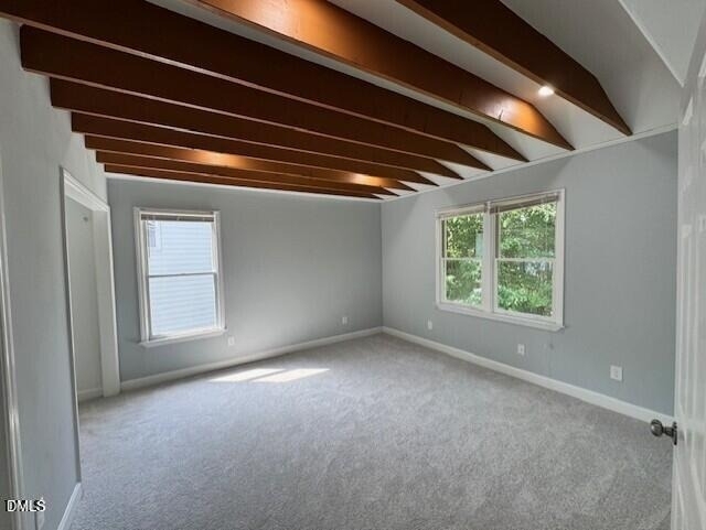 302 Rushingwater Drive - Photo 9
