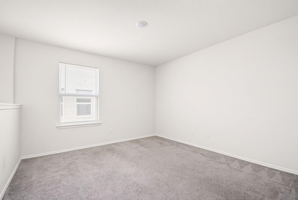 224 Small Seed Dr - Photo 26