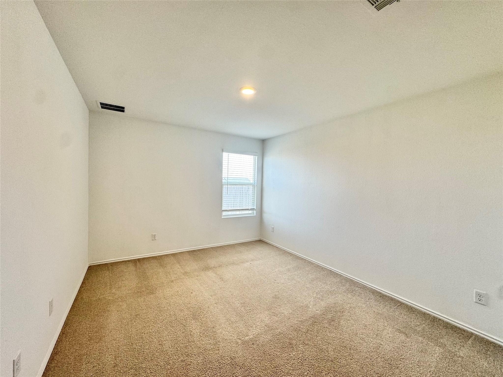 23604 Tiny Moons Way - Photo 9