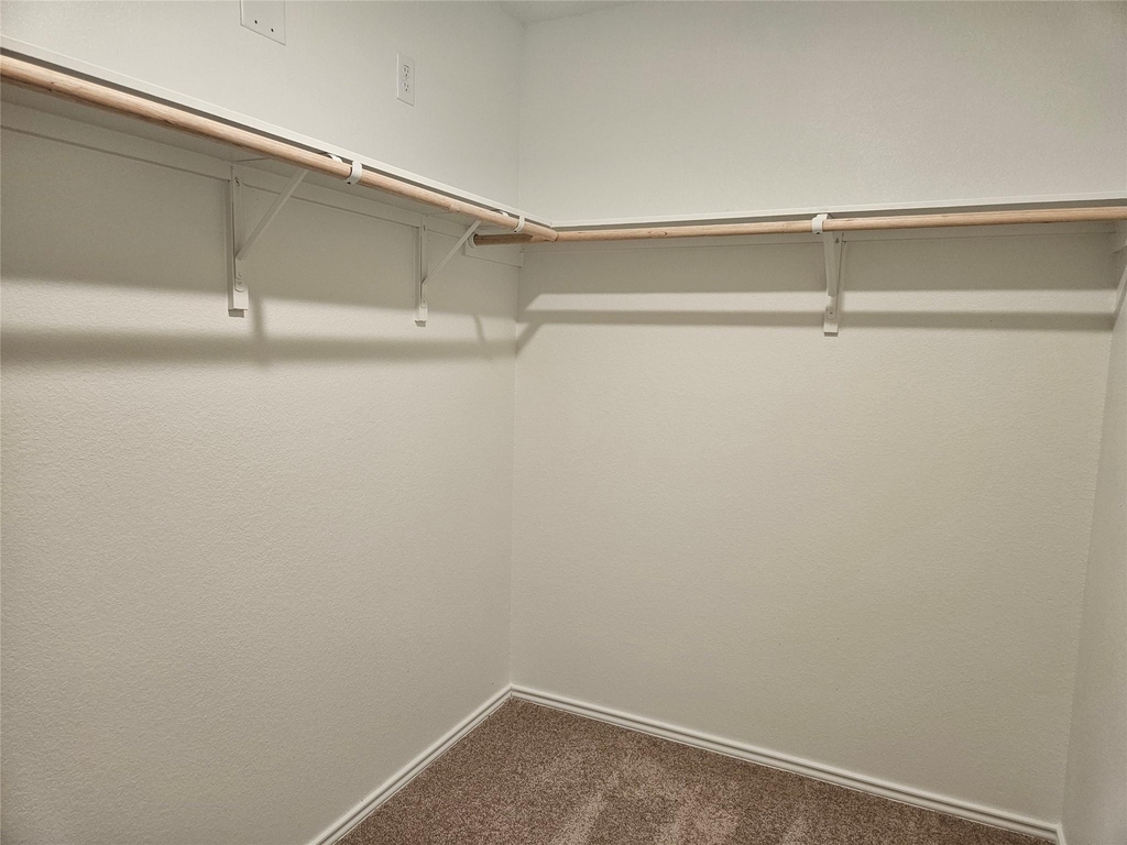 23604 Tiny Moons Way - Photo 13