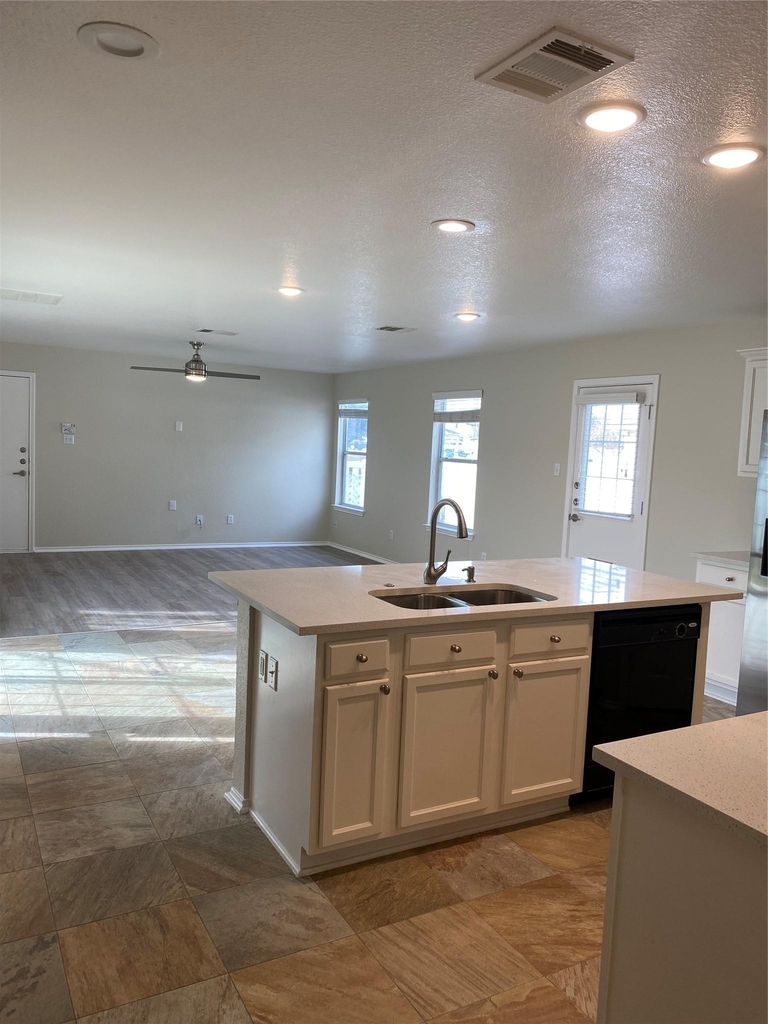 1306 Davis Mountain Loop - Photo 4
