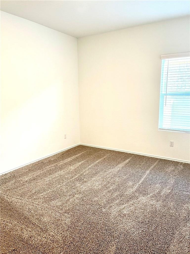 101 Blue Blaze Trl - Photo 16