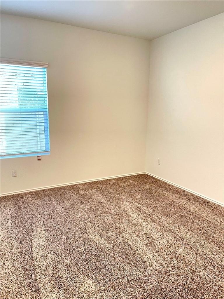 101 Blue Blaze Trl - Photo 14