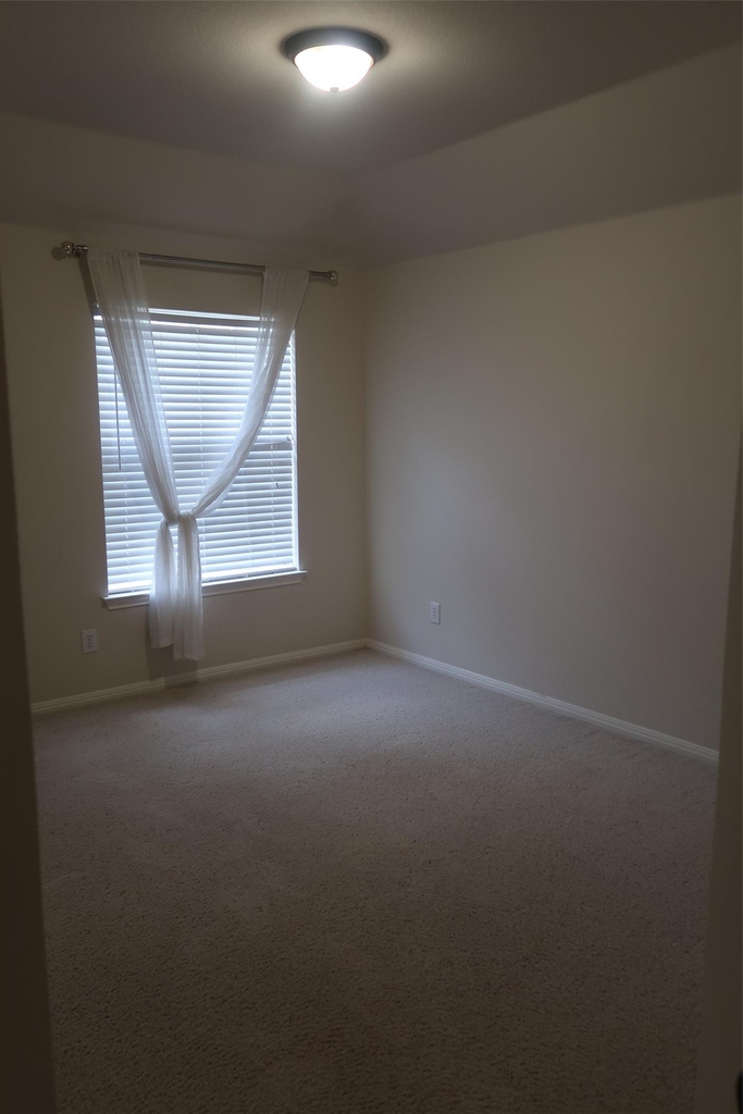 2915 Briona Wood Ln - Photo 14