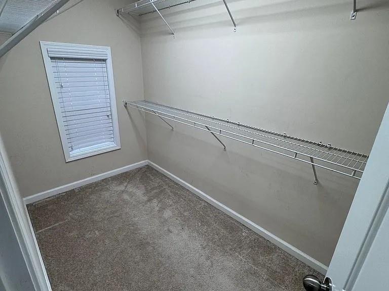 1540 Winshire Cove - Photo 13