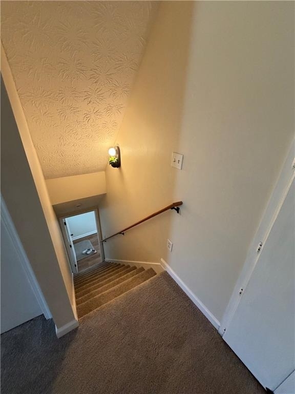 2694 Palm Creek Court - Photo 12