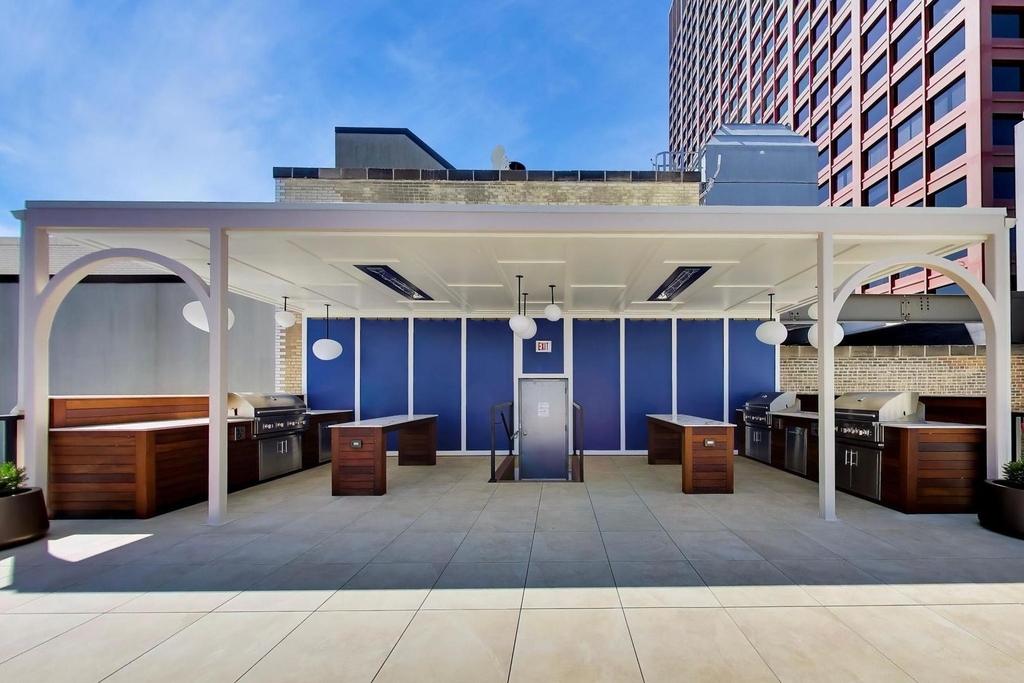 310 S Michigan Avenue - Photo 21