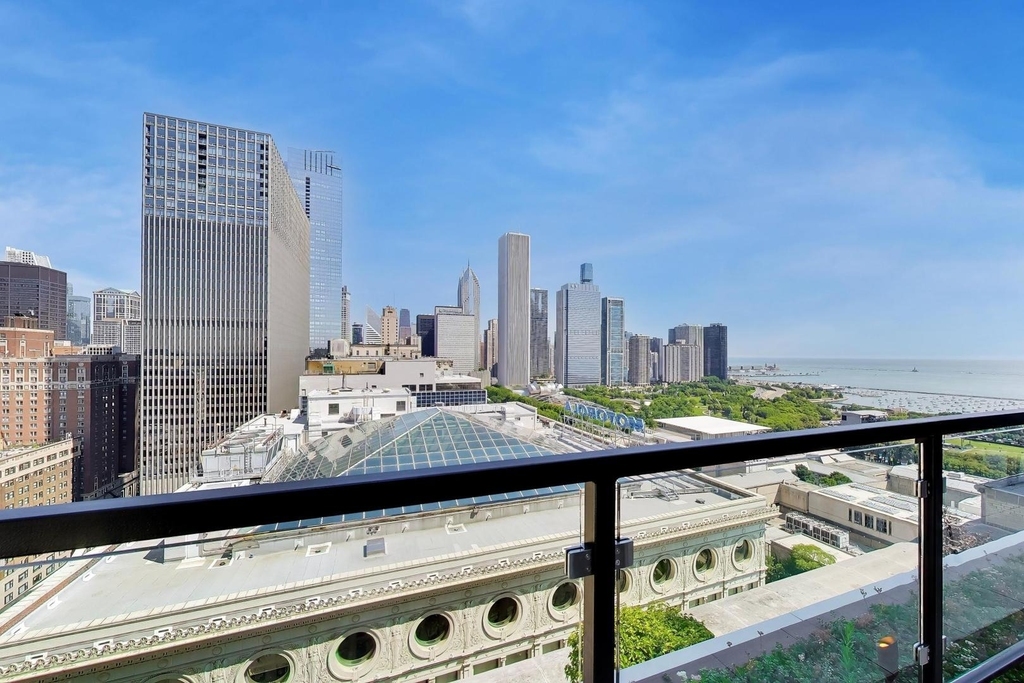 310 S Michigan Avenue - Photo 14